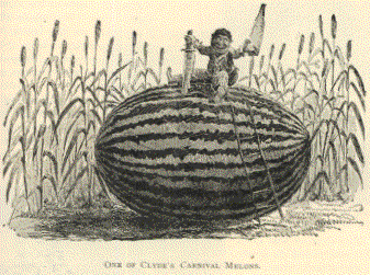 ONE OF CLYDE'S CARNIVAL MELONS.