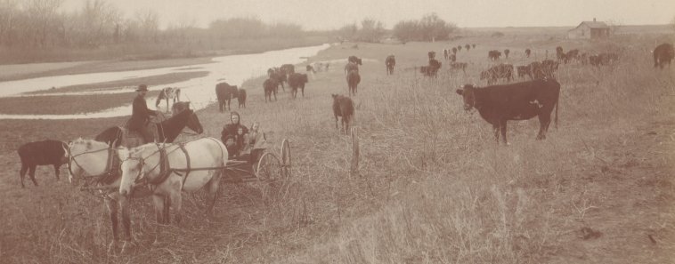 Frank and Hattie Hoagland with their children at the Oldfather Place east of Sun City.

Photo by F.M. Steele, from the collection of Kim (Hoagland) Fowles.