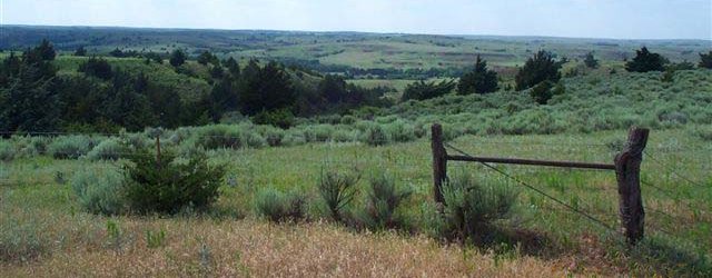 The Hoagland Ranch near Lake City, Barber County, Kansas.

Photo courtesy of Ronnie Hoagland.