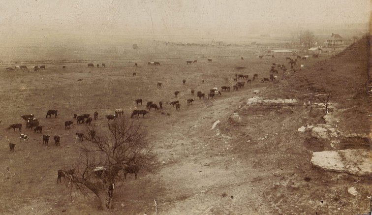 The Massey Ranch north of Sun City, Barber County, Kansas.

Photo from the collection of Brenda McLain, courtesy of Kim Fowles.