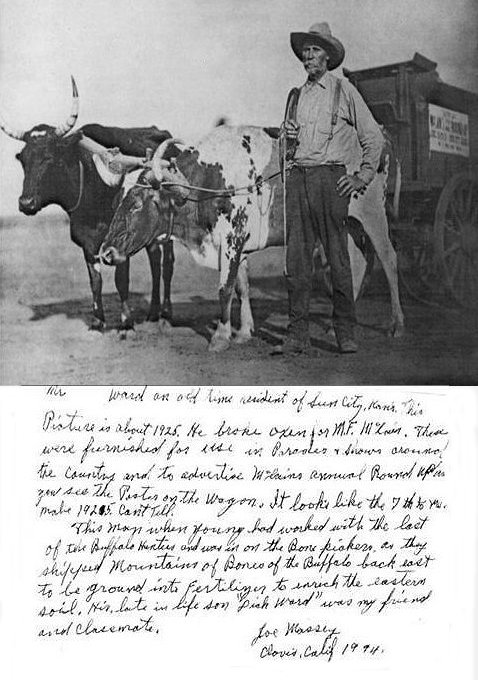 Mr. Ward at McLain's Roundup. Photo by Homer Venters, from the collection of Brenda McLain. Caption by Joe Massey.