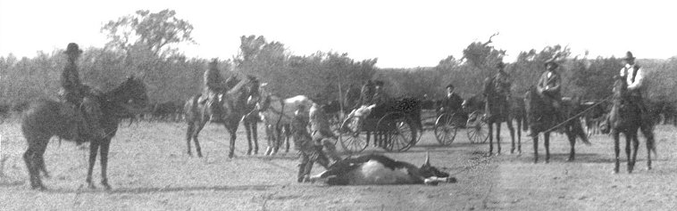 Branding cattle in the summer of 1898 or 1899 on Howard J. Parker's Cedar Creek Ranch near Medicine Lodge, Kansas.

Arthur Parker is on horse at left; Howard J. Parker is 2nd from left; Walter Parker has the steer's tail.

Photo courtesy of Bob Osborn.