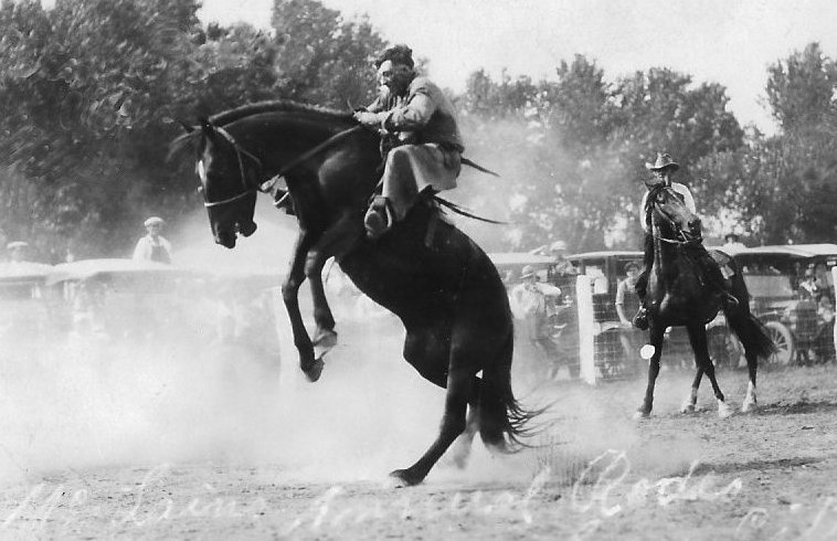 Bronc Rider, McLain Roundup, Sun City, Barber County, Kansas.   Photo by Homer Venters, courtesy of his great-nephew, Mike Venters. 