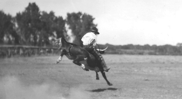 Bull Rider, McLain Roundup, Sun City, Barber County, Kansas.   Photo by Homer Venters, courtesy of his great-nephew, Mike Venters. 