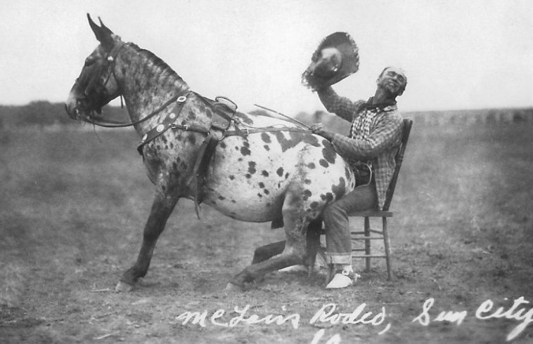  Girt the Mule with Pinky, McLain Roundup, Sun City, Barber County, Kansas.   Photo by Homer Venters, courtesy of his great-nephew, Mike Venters. 