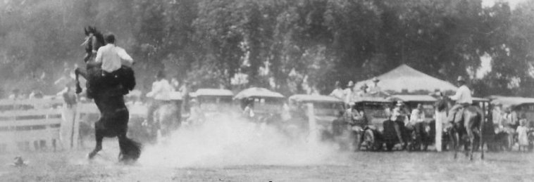 Bronc Rider, McLain Roundup, Sun City, Barber County, Kansas.   Photo by Homer Venters, courtesy of his great-nephew, Mike Venters. 