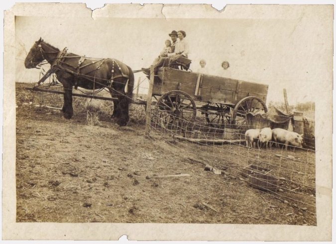 John & Bonnie Wells and their children:  Lester (on John's lap) and Wilma (Pierson) & Cora (Morehead/Balding/Pardun), Barber County, Kansas.

Photo courtesy of Kim Fowles.