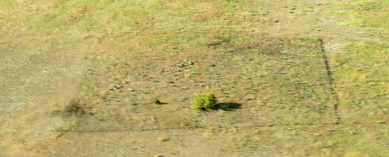 Nescatunga Cemetery, Comanche County, Kansas. 

Photo by Al Pruett from an aircraft piloted by Richard L. Beeley, 2007.