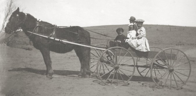 Four children in a carriage.</b><BR> Probably Kenneth, Edith, Hueston and Leta Cline, Comanche County Kansas.

Photo courtesy of Rhonda (Cline) Nickel.