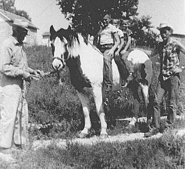 Ernest L. Ferrin, at left, holds Shorty while his grandsons, Darrell, Jerry & Brent Ferrin, sit on the horse's back; their father, Wendel, is at right in the photo. Taken on the Ferrin farm near Wilmore, Comanche County, Ks, 1961.