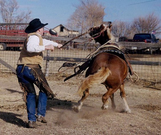 C.J. Huck breaking a horse, Comanche County, Kansas.

Photo by Bobbi (Hackney) Huck.