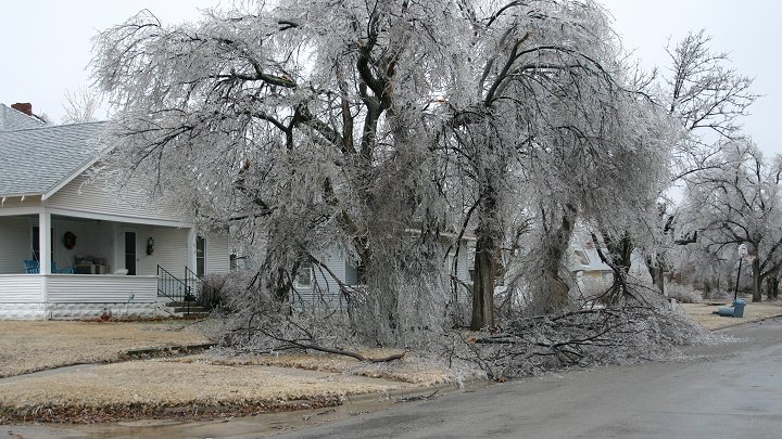 Ice Storm, February 2005, 

 Comanche County, Kansas.

Photo by Dennies Andersen, copyright Dennies Andersen.  All rights reserved. Used with his permission.