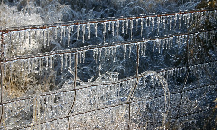 Ice Storm, February 2005, 

 Comanche County, Kansas.

Photo by Dennies Andersen, copyright Dennies Andersen.  All rights reserved. Used with his permission.