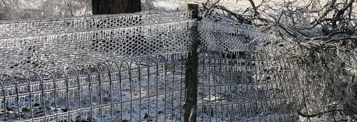 Ice Storm, February 2005, 

 Comanche County, Kansas.

Photo by Dennies Andersen, copyright Dennies Andersen.  All rights reserved. Used with his permission.