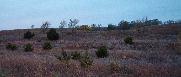 The site of the town of Majel, Comanche County, Kansas. View looking west towards the townsite.  Photo by Jerry Ferrin, 1 Nov 2004.