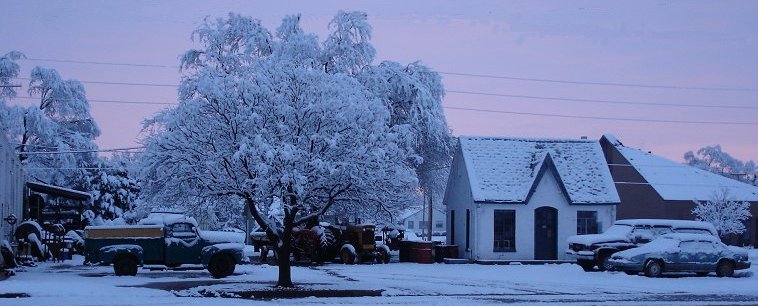 Snow in Protection, Comanche County, Kansas, 31 Jan 2005.  Photo by Orlin Loucks.