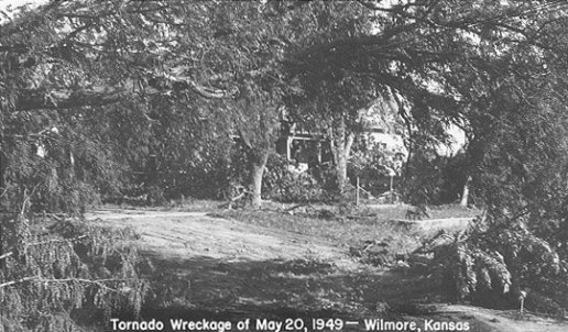 View of the trees on Alcana Ferrin's lot blown down in the tornado of May 20, 1949, looking towards the Schrock house. Wilmore, Comanche County, Kansas. Photo by John Edward (Ed) Schrock, used with permission of Janet Schrock Hubbard.