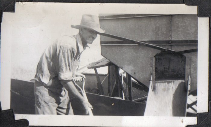 Fay Wilson scooping wheat, Comanche County, Kansas.

Photo courtesy of Rhonda (Cline) Nickel.