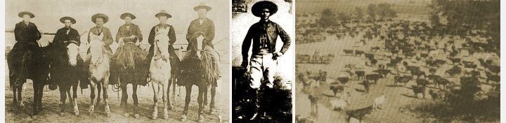 From left, Comanche Pool Cowboys, Bronc Buster Bill Hill, Comanche Pool Cattle.