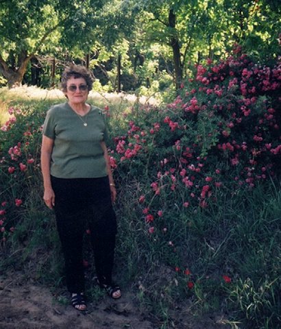 Alice Bergeman with wild roses near the location of Ernie & Nellie Ferrin's farmhouse, 04 June 2004, Comanche County, Kansas. Photo from the collection of Alice (Norton) Bergeman.

CLICK ON PHOTO TO VIEW LARGER IMAGE