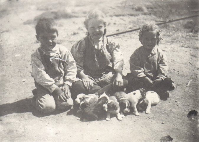 Three kids with pups,  probably Kenneth, Leta and Edith Cline.

Photo courtesy of Rhonda (Cline) Nickel.