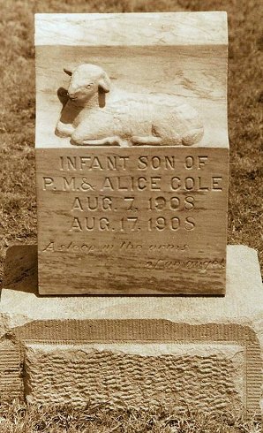 Gravestone:

Infant Son of P.M. & Alice Cole
August 7, 1908 -- August 17, 1908
Asleep in the arms of an angel. 

Crown Hill Cemetery, Comanche County, Kansas.

Photo by Bobbi (Hackney) Huck.