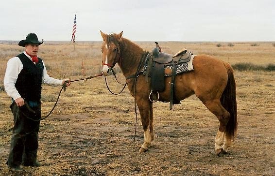 C.J. Huck and Itta,  his 3 year old stud horse, Comanche County, Kansas.

Photo by Bobbi (Hackney) Huck, January 2005.