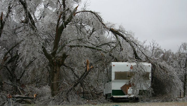 Ice Storm, February 2005, 

 Comanche County, Kansas.

Photo by Dennies Andersen, copyright Dennies Andersen.  All rights reserved. Used with his permission.