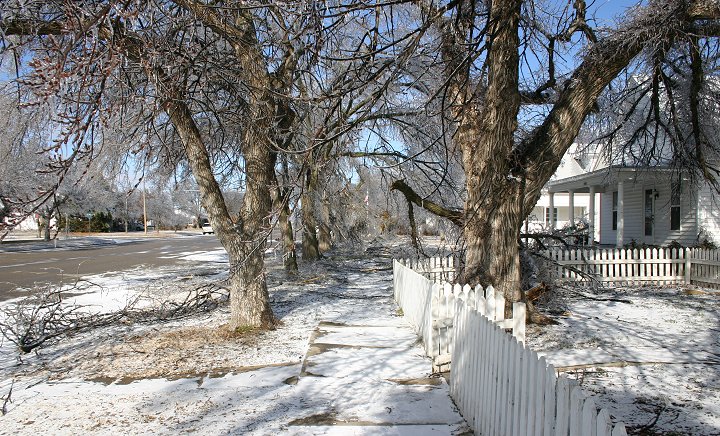 Ice Storm, February 2005, 

 Comanche County, Kansas.

Photo by Dennies Andersen, copyright Dennies Andersen.  All rights reserved. Used with his permission.