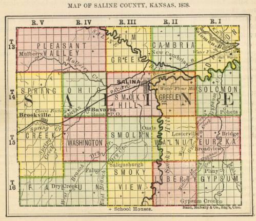 First Biennial Report, 1878, Saline County, Kansas